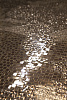 «Bronze», Мария Буглак, арт-объект