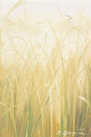 Миниатюра 70